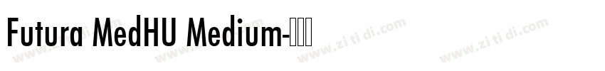 Futura MedHU Medium字体转换